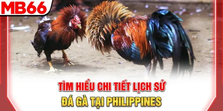 Tìm hiểu chi tiết lịch sử đá gà tại Philippines